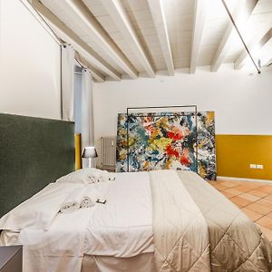 Studio Lit Queen-Size