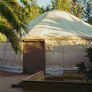 Yourte Jardin Tropicale Piscine - Quatre Murs Et Un Toit