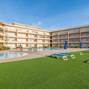 Barracuda Oura Dream Apartment