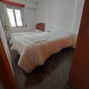 Appartement à 3 Chambres à Coucher