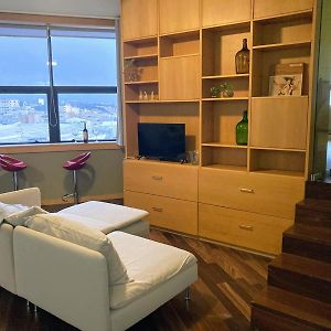 Appartement Loft 1 Chambre