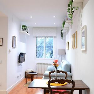 Acogedor Apartamento Centro Legazpi