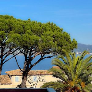 Rooftop With A Seaview
