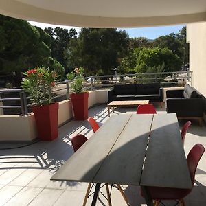 les rivages de calvi