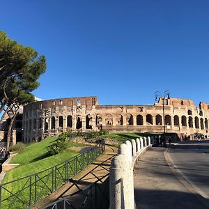 Quiet & Cosy Colosseum