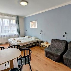 Flat In Zizkov With Free Underground Parking -501-