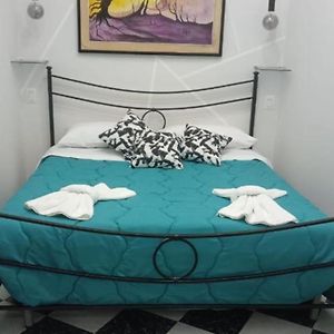 Amonia House