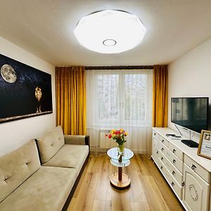 Lion Apartment