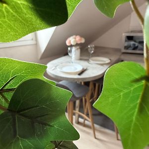 Appartement Strasbourg Centre