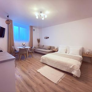 Appartement à 1 Chambre à Coucher
