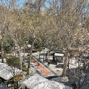 Pension Zurita