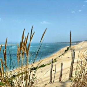 Appartement Arcachon, 2 pièces, 4 personnes - FR-1-474-191