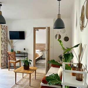 Cozy Appartement En Centre-Ville