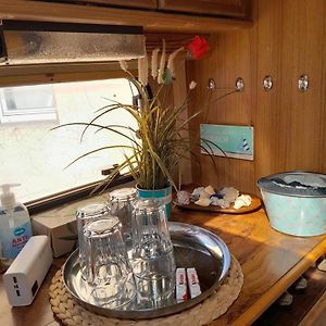 Moving Inn - Retro Uebernachten Im Wohnwagen, Guenstig & Zentral
