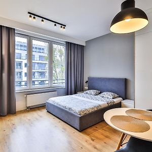 Studio Lit King-Size