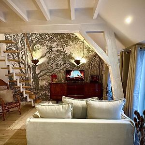 Elegant Appartement Lumineux Hypercentre Orleans