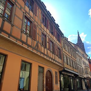 Appartement 2 Pieces Hypercentre Strasbourg
