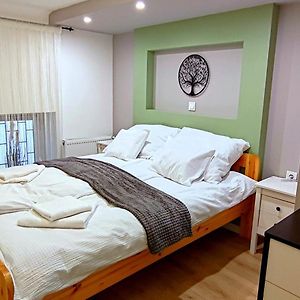 Alexander Guestrooms