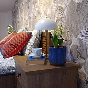 Appartement Studio