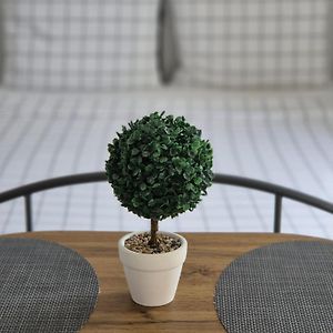 Studio Apartment S&N