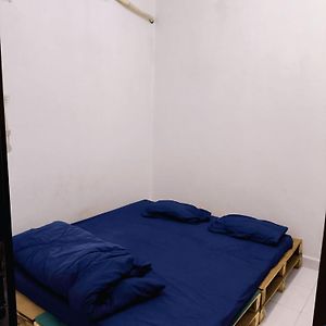 Appartement Rez-de-Chaussée