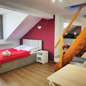 Apartament Winnica