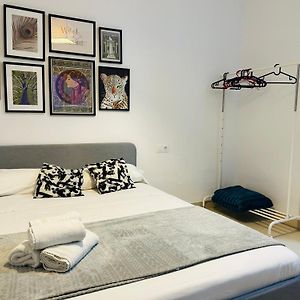 Studio Lit King-Size