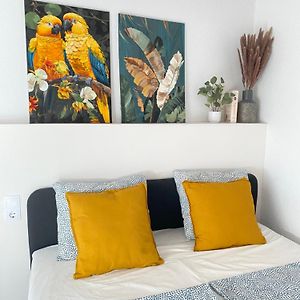 Santa Banana Mountain View Apartment