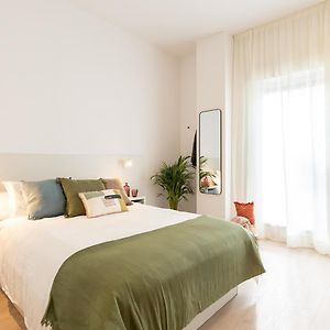 Suite Junior