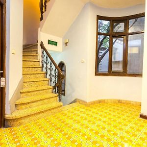 Chikoo Homestay Spot-On