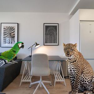 Appartement à 2 Chambres à Coucher