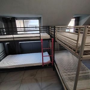 Lion University & Youth Hostel Milano