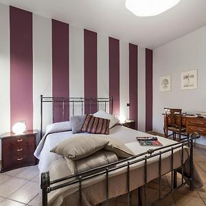 Abitaroom Wine Mini-Flat