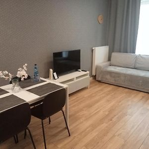 Appartement de Luxe à 1 Chambre à Coucher