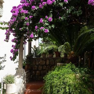 San Giorgio Studio Apartment