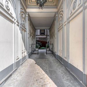 Suite Standarde