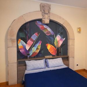 Suite Amedei4