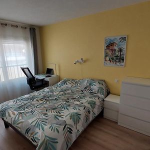 Le Roxane 2 Bedroom Apartment In The City-Center Of Antibes