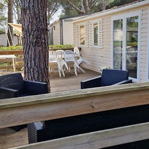 La Baume La Palmeraie Camping Resort