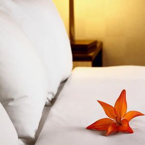 Suite de Luxe