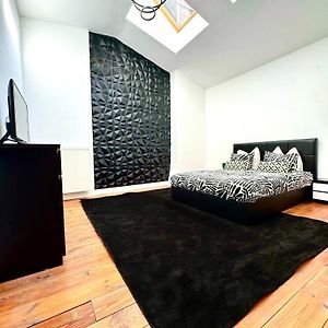 Downtown Spacious Design Loft