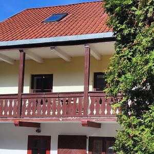 Prime Location Apartment Vilnius