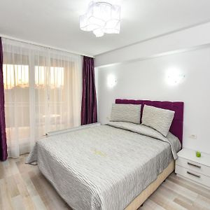 Studio Lit Queen-Size