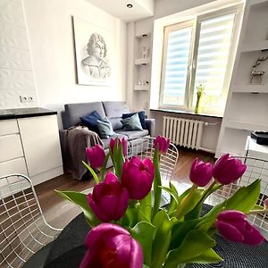 Space Apartment 2 Rooms Center