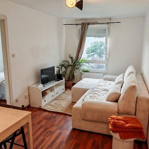 Charmant Appartement Au Centre