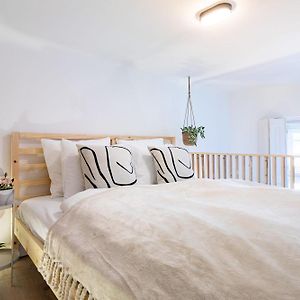Central - Modern - Superb Style