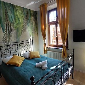 Studio Lit Queen-Size