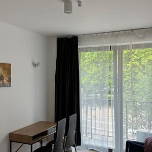 Amber Hostel Szlak