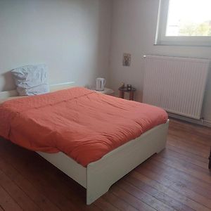 Brussels Guesthouse - Private Bedroom And Bathroom