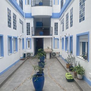 La Mascarada De Alamos